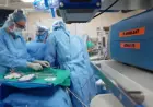Organ Freezing Breakthrough Brings On-Demand Transplants Closer