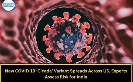 New COVID-19 ‘Cicada’ Variant Spreads Across US, Experts Assess Risk for India