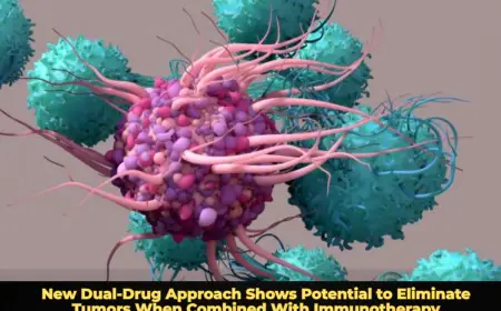 New Dual-Drug Approach Shows Potential to Eliminate Tumors When Combined With Immunotherapy