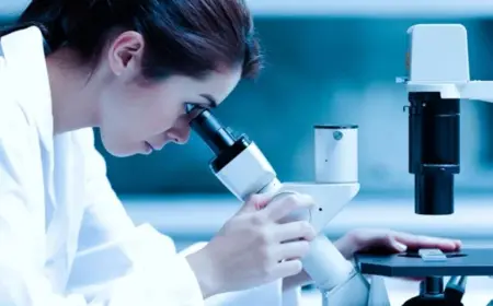 Alligator Bioscience Reports Clinical Progress on Mitazalimab Cancer Therapy