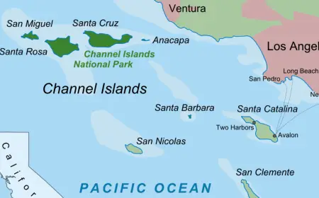 Channel Islands Finance Sector Faces Digital Shift Pressure Amid Global Competition
