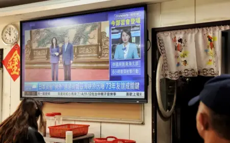 Xi Meets Taiwan Opposition, Reaffirms Anti-Independence Stance