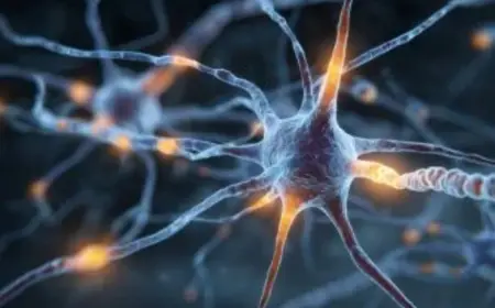 Scientists Identify New Rare Genetic Disease Using Whole-Exome Sequencing