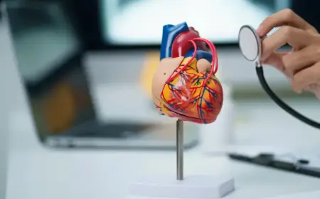 New Cardio-Oncology Drug Shows Potential to Protect Heart During Cancer Treatment