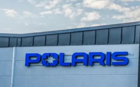 Polaris Raises $80 Million from BII to Expand Smart Metering in India