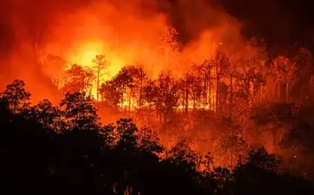 North America Wildfires Burn Longer Nights Amid Climate Shift