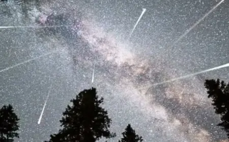 Lyrid Meteor Shower Peaks April 22 With Up to 18 Meteors Hourly