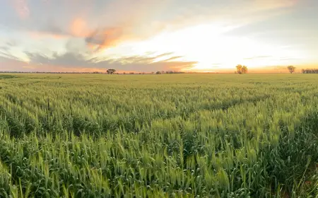 FarmCarbon Secures $53M to Scale Farmer Methane Reduction Projects