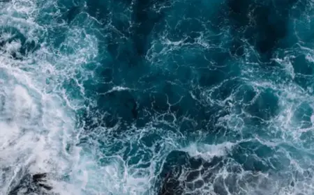 AMOC Collapse Warning Shocking Climate Threat Nears Sooner
