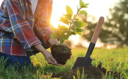 Earth Day 2026 Powerful Theme Our Power Our Planet