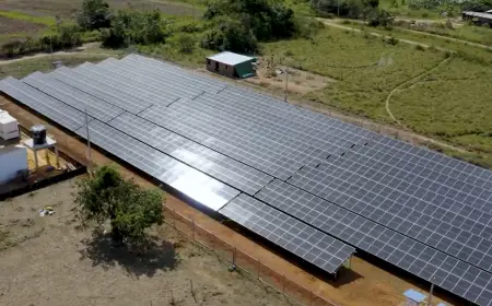 Fossil Fuel Transition Conference Powerful Global Climate Shift
