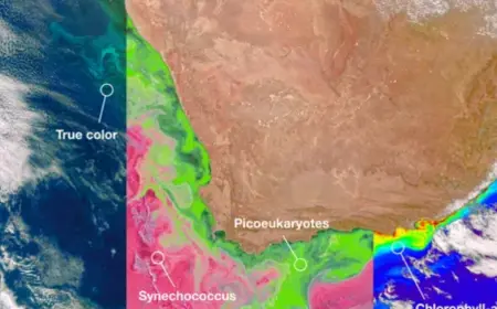 Climate Science Insights 2026 Powerful Warnings Scientists Reveal