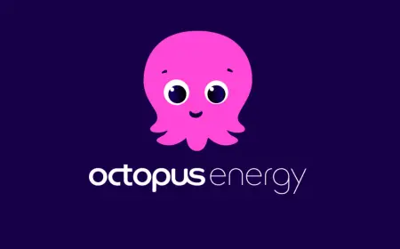 Octopus Go Price Increases Spark Backlash Over Short Notice, Says Report