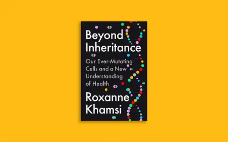 Beyond Inheritance Mutations new view Explained