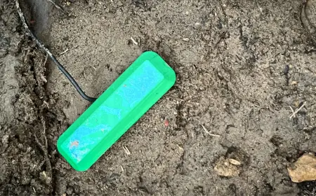 Dirt Powered Fuel Cell Breakthrough Could Replace Batteries Fast