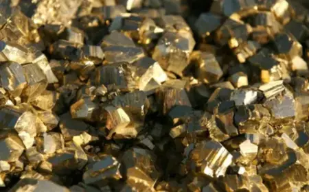 Dirt Powered Fuel Cell Breakthrough Creates Endless Energy Source