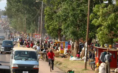 Malawi Secures $80M World Bank Grant to Boost Local Governance