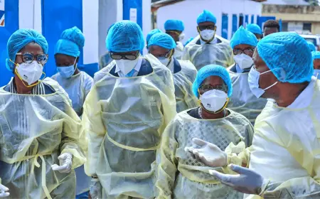 WHO Disease Outbreak Simulation Exercise: Global Preparedness Boost