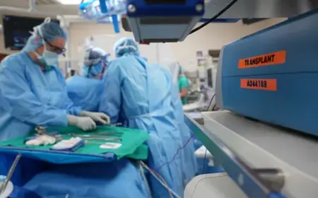 Organ Freezing Breakthrough Brings On-Demand Transplants Closer
